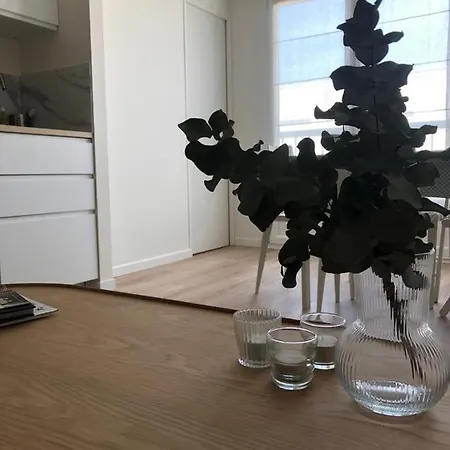 T2, Hyper-centre, A 50m De La ! * Le Touquet