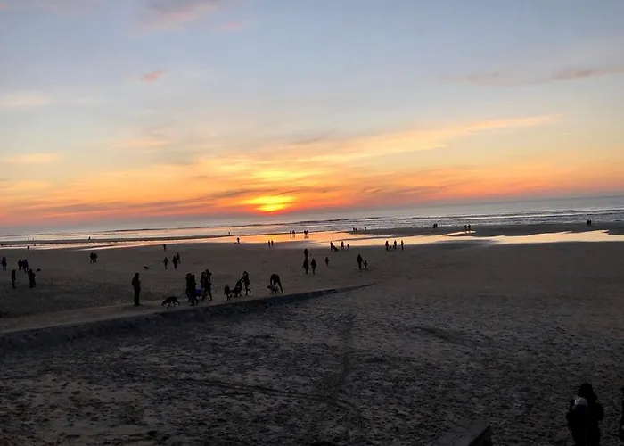 T2, Hyper-centre, A 50m De La ! Apartment Le Touquet