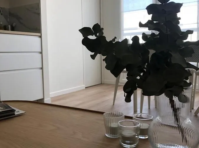 T2, Hyper-centre, A 50m De La ! * Le Touquet